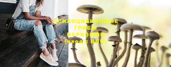 jwh Дмитров