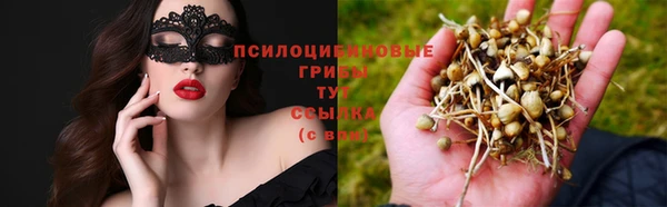 jwh Дмитров