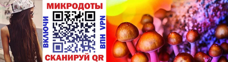 Псилоцибиновые грибы мицелий  как найти закладки  Нязепетровск 